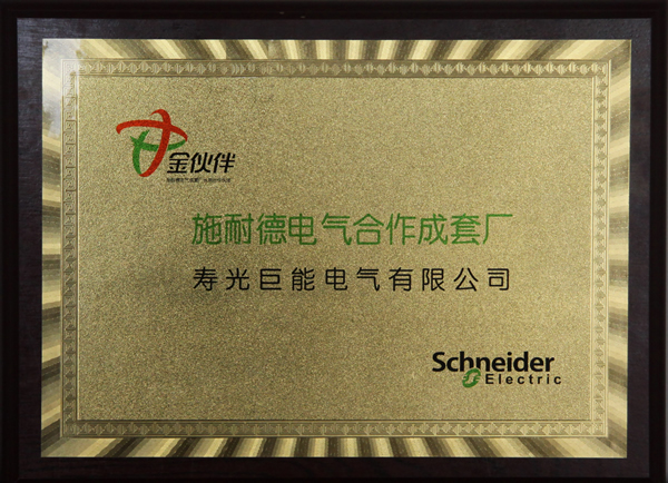 Schneider gold partner