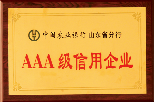 Agricultural Bank of Chinese Shandong branch of AAA grade credit enterprise